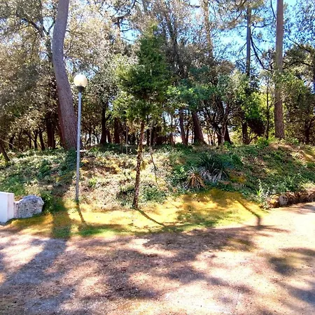 Διαμέρισμα Le Jardin De Suzac *